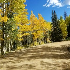 Meet your Posher, Rita